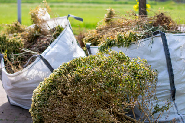 Best Yard Waste Removal  in Dillsburg, PA